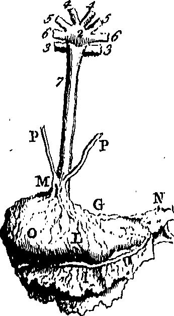 079/079740010100670_0.png