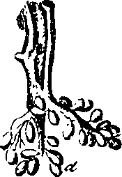 079/079740010101180_1.png