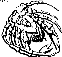 079/079740010101250_0.png