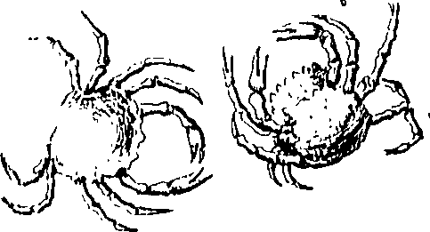 079/079740010101250_1.png