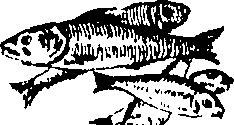 079/079740010101250_2.png
