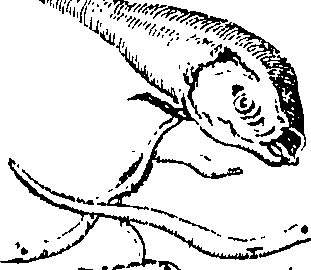 079/079740010101250_3.png