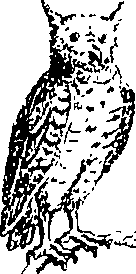 079/079740010101250_4.png
