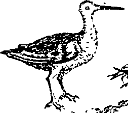 079/079740010101250_5.png