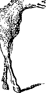 079/079740010101250_6.png