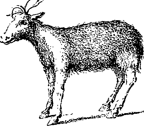 079/079740010101250_7.png
