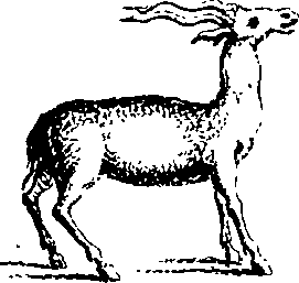 079/079740010101250_8.png
