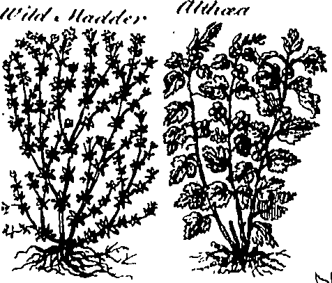 079/079740010103710_0.png