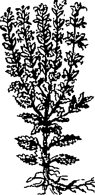 079/079740010103710_2.png