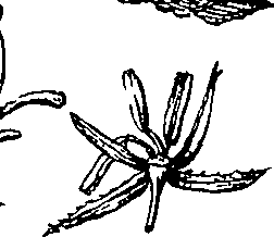 079/079740010103710_3.png