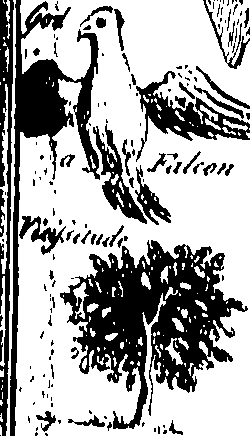 079/079750010201670_0.png