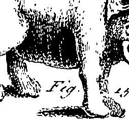 079/079750010201670_3.png
