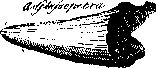 079/079750010206000_0.png