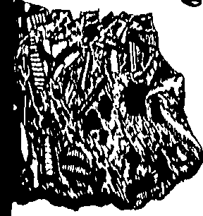 079/079750010206000_1.png