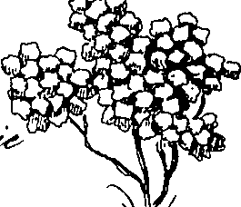 079/079750010206000_4.png