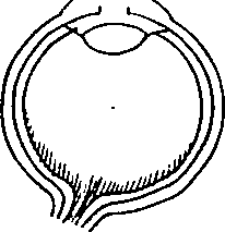 079/079750010206720_3.png