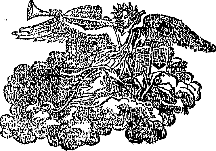 079/079790030000010_0.png
