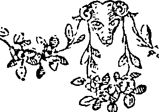 079/079790040000080_0.png