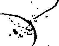 079/079800020000010_1.png