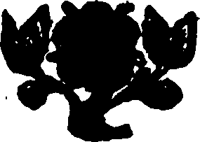 079/079900050100470_0.png
