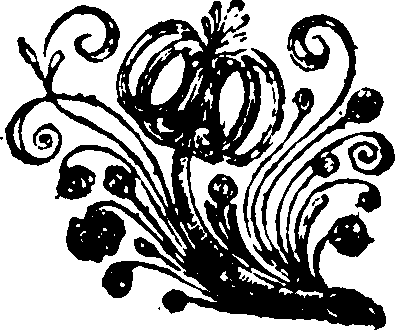 079/079900050101550_0.png