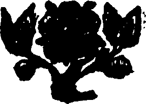 079/079900050101720_0.png