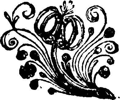 079/079900050102410_0.png