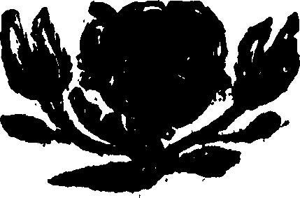 079/079900050102510_0.png