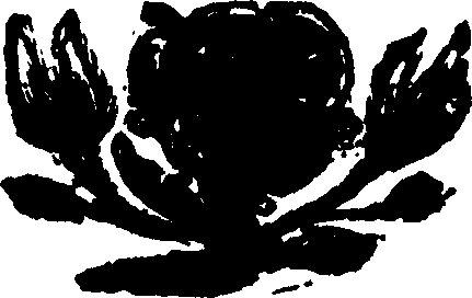 079/079900050102990_0.png