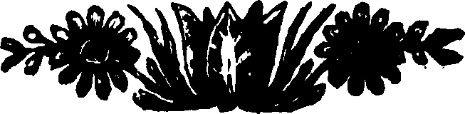 079/079900050202430_0.png