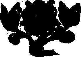 079/079900050202610_0.png