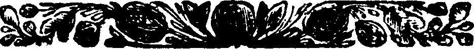 079/079900050202620_1.png