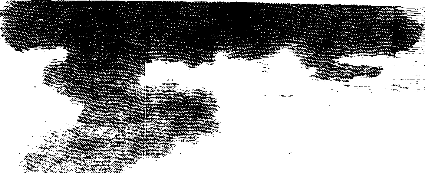 079/079920020200190_0.png