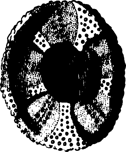 079/079920020201930_0.png