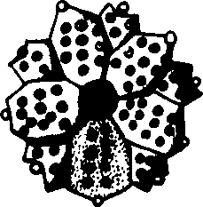 079/079920020201930_2.png