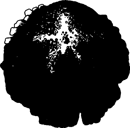 079/079920020201930_3.png
