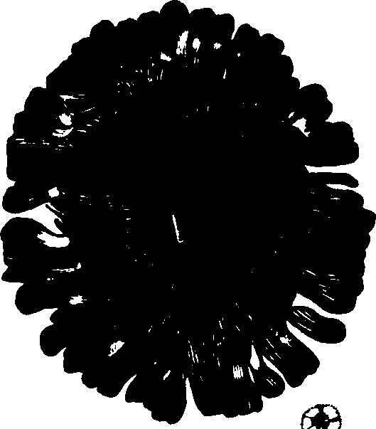 079/079920020201930_4.png