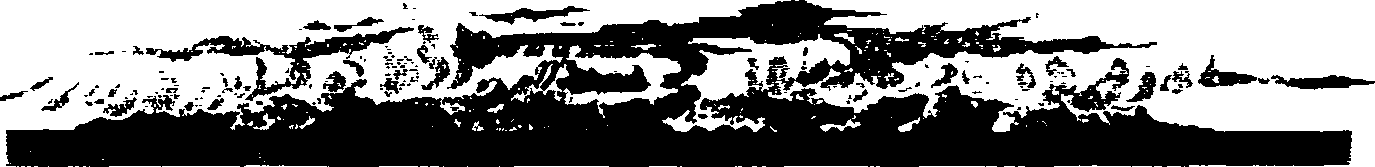 079/079920020202150_3.png