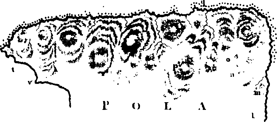 079/079930010301360_0.png