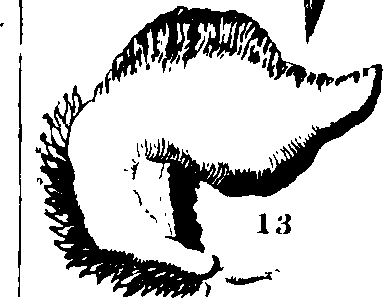 079/079930010302400_1.png
