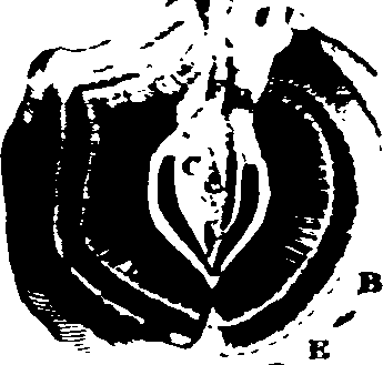 079/079930010303160_0.png