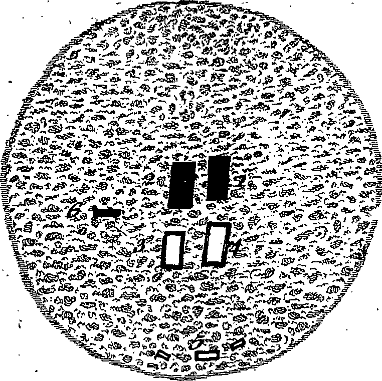 079/079980010800570_3.png