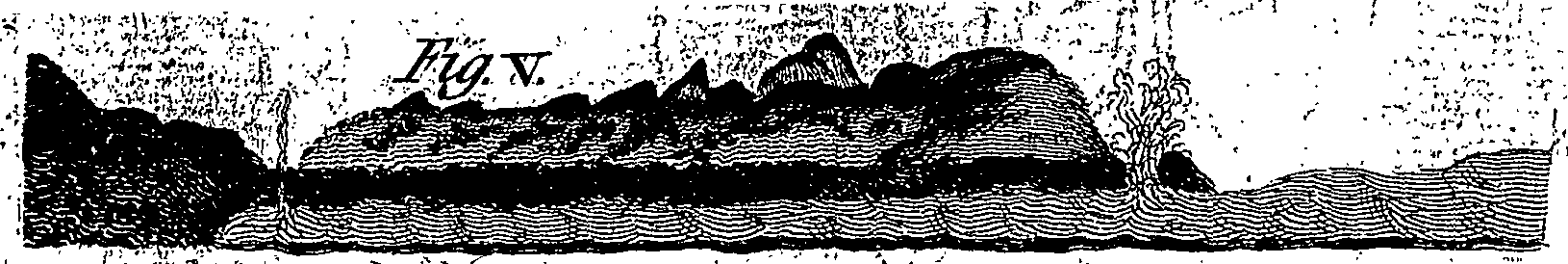 079/079980010800570_4.png