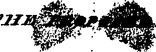 080/080020012006640_0.png