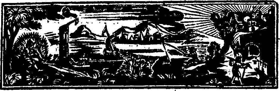 080/080060080000270_1.png