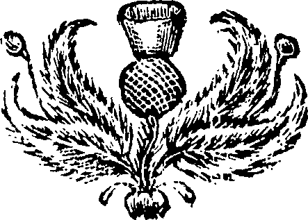 080/080070080000440_0.png