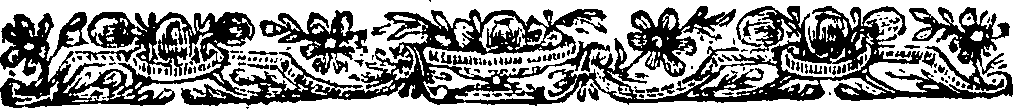 080/080070080000450_1.png