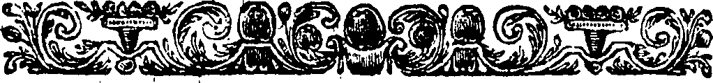 080/080070080000990_1.png