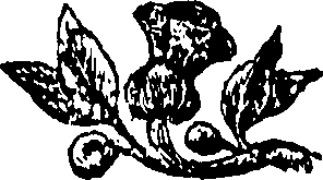080/080070080001200_0.png