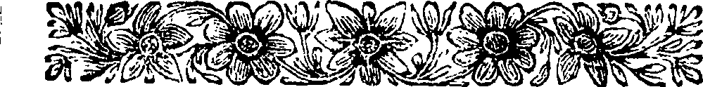 080/080070080002220_1.png